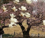 쌀쌀한 '춘분'…강원·경북 북부 등에서 눈 또는 비