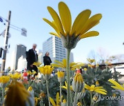 [내일날씨] 전국 대체로 맑음…아침 0도 안팎