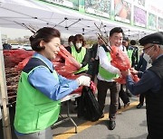 "묘목 받아 가세요" 청주 무심천서 27일 무료 배부