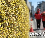 [오늘의 날씨]대전·충남(21일, 목)…내륙 아침 기온 0도 내외