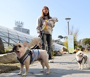 반려동물과 함께 인천공항 산책을