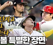 MLB 전문 해설위원 "다르빗슈 던지고 오타니 치고 김하성 잡는다, 특별한 장면 기대"