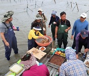 [김준의 맛과 섬] [116] 고창 만돌 뻘밥