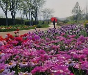 순천만국가정원 깜짝 놀랄 봄옷 입고 4월 1일 문 연다