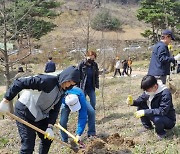 전남도, 430만그루 나무 심어 탄소흡수원 확충