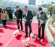 “공항에 댕댕이 맡기고 여행가세요”