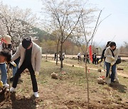 '탄소중립·관광 자원 기반 마련' 430만 그루 나무 심는 전남도