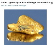 보물찾기하러 간 곳에 금덩이가?..英들판 뒤지던 男, '17돈' 금덩이 발견