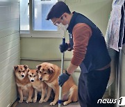 카디날코리아, '국제 강아지의 날' 맞아 봉사활동…사료도 후원