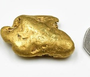 들판에서 17돈 '금덩이' 발견 횡재...경매 7000만원 가치 예상