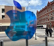애플 키운 '폐쇄적 생태계' 미국·EU 심판대에... 삼성전자 반사이익 얻나