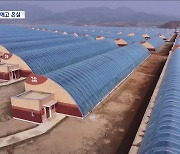 [통일전망대] 공군 비행장 없애고 온실농장‥북한의 속내