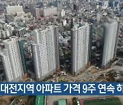 대전지역 아파트 가격 9주 연속 하락