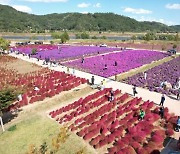 벚꽃·수박·댑싸리...의령군, 지역 자원 활용 소규모 마을축제 연다