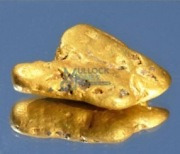 금속탐지기로 들판에서 금덩이 ‘대박’…수천만원 추정