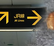 "일본 여행 때 '빈대' 조심하세요"···도쿄 지하철서 '목격담' 잇따라