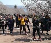 진해군항제 벚꽃 추억