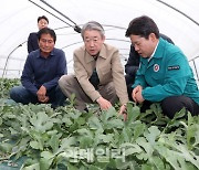 [포토] 강호동 농협회장, 일조량 피해상화 점검
