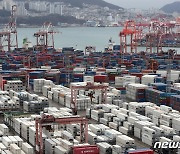 홍해사태 장기화에 K-수출 '빨간불'…무협·HMM, 해상운송 지원