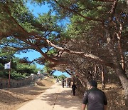 '파주·여주 25도' 역대급 낮기온에 '반소매 차림' 행락객 '북적'(종합)