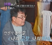 "나 죽으면 여수 바다에 유골 뿌리고…". '79세' 백일섭, 사후 계획 발언?