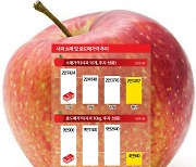 내려가는 사과·배 가격표…과일값 안정 정부 대책의 효과일까[조선물가실록]