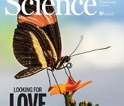 [표지로 읽는 과학] 나비도 짝을 찾을 때 상대방 '외모' 본다