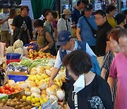 '과일 인플레'로 과일가게 매출 폭증..올들어 37% 늘어