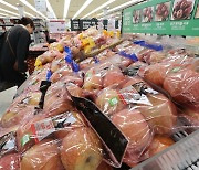 사과 소매가 10% 이상 하락…‘할인 미적용’ 도매가는 그대로