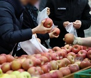 '아이 키우는 3040, 과일 구매 포기'... 과일가게 매출은 급증