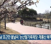 대전·세종·충남 한낮 포근한 봄 날씨…논산딸기축제장·계룡산 ‘북적’