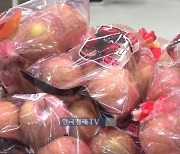치솟는 과일값…과일가게 매출 37%↑