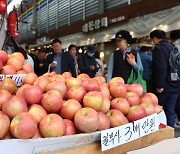정부, 할인지원 효과…사과·배 소매가격, 일주일 새 10% 넘게 하락