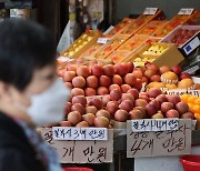 Fruit prices fall by more than 10 percent in a week