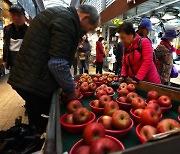 [포토] 소폭 떨어진 사과 가격