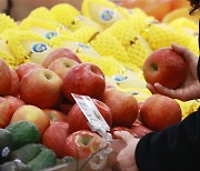 과일값 언제 잡히나…사과·배 소매가 10%대 하락했지만 도매가는?