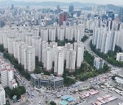 '대장주 아파트' 가격 지수 넉 달 만에 상승 전환