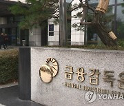 금감원, 단기납종신 업계 자율시정 권고…"안되면 경영진 면담"