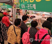 홍천문화재단, 지역 축제 일정 확정…내달 26일 산나물축제 개막