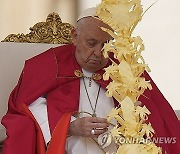 Vatican Pope Palm Sunday