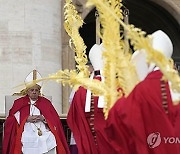 Vatican Pope Palm Sunday