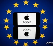 EU '애플·구글·메타' 조사 착수…디지털 시장법 '위반 1호'