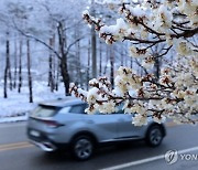 구룡령 8.7㎝ '폭설'…내일까지 최대 20㎝ 내린다