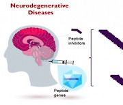 에이브레인, NACI 개념 펩타이드 ‘AB103’ 개발… 단회 유전자 투여로 파킨슨·알츠하이머 등 퇴행성 뇌질환의 예방·치료 가능성 확인