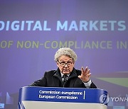 Belgium EU Digital Services Act