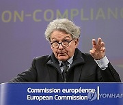 Belgium EU Digital Services Act