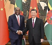 CHINA-BEIJING-XI JINPING-DOMINICAN PM-MEETING (CN)