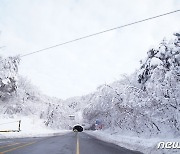 [오늘의 날씨] 강원(26일, 화)…산지 20㎝ '봄 폭설', 짙은 안개