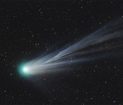 [오늘의 천체사진] 폰스-브룩스 혜성의 이온 꼬리