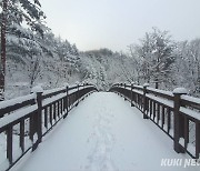 [포토]봄이 오는 태백은 겨울왕국